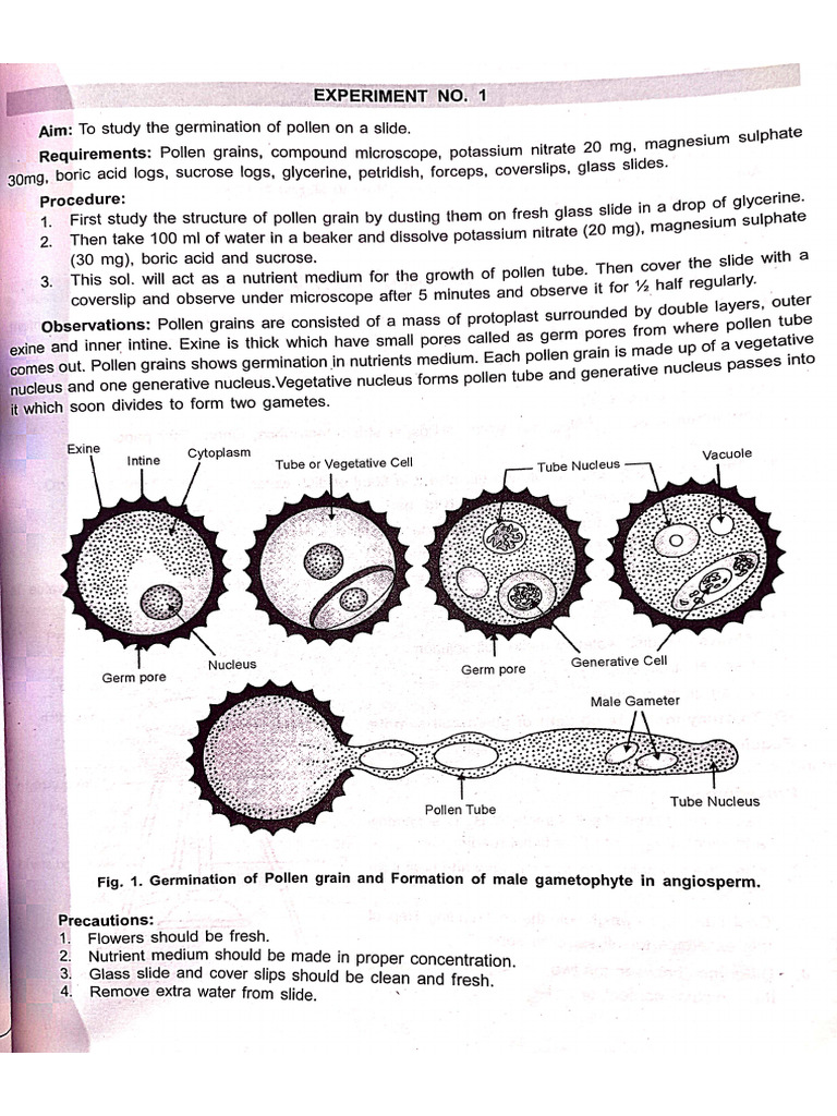 12th Botany Practicals-1 | PDF
