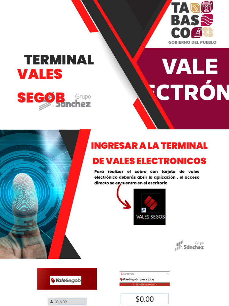 Terminal Vales Segob Cajeras | PDF | Dinero | Informática