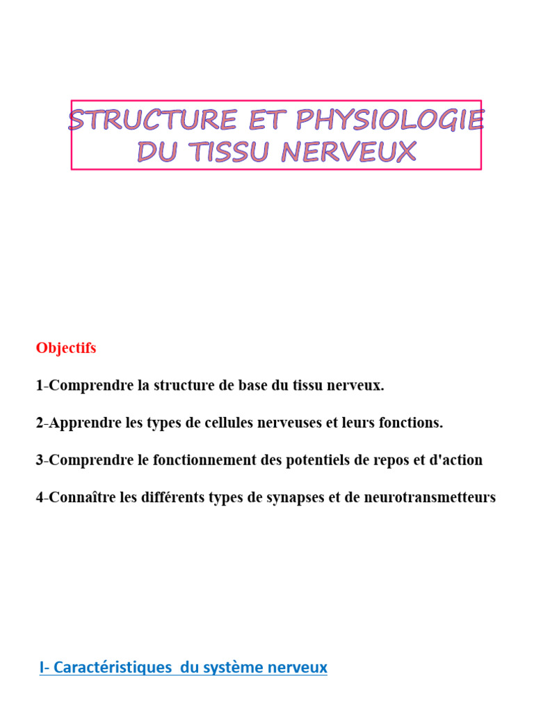 Structure et Fonction du Système Nerveux | PDF | Nerf | Neurone