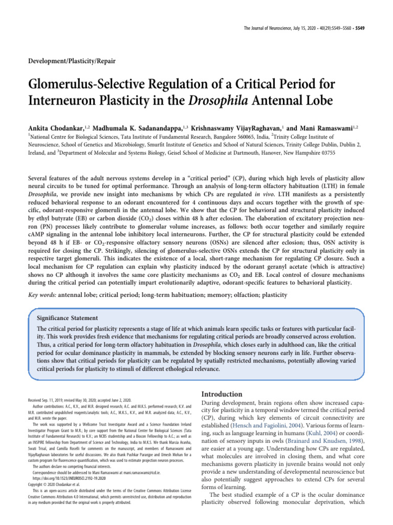 Ankita Glomerulus Selective Regulation of A Critical Period For ...