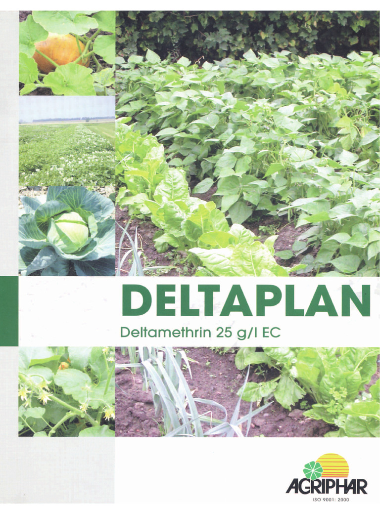 332 Deltaplan 25 Ecfiche Technique | PDF