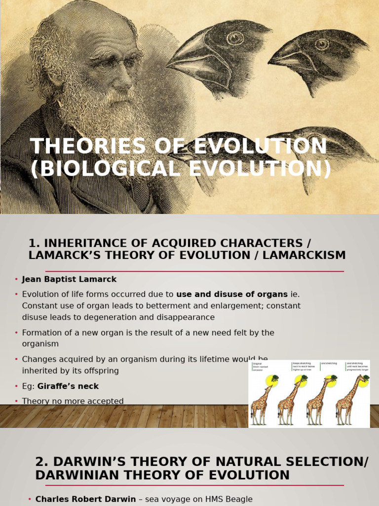 Theories of Biological Evolution Explained | PDF | Natural Selection ...