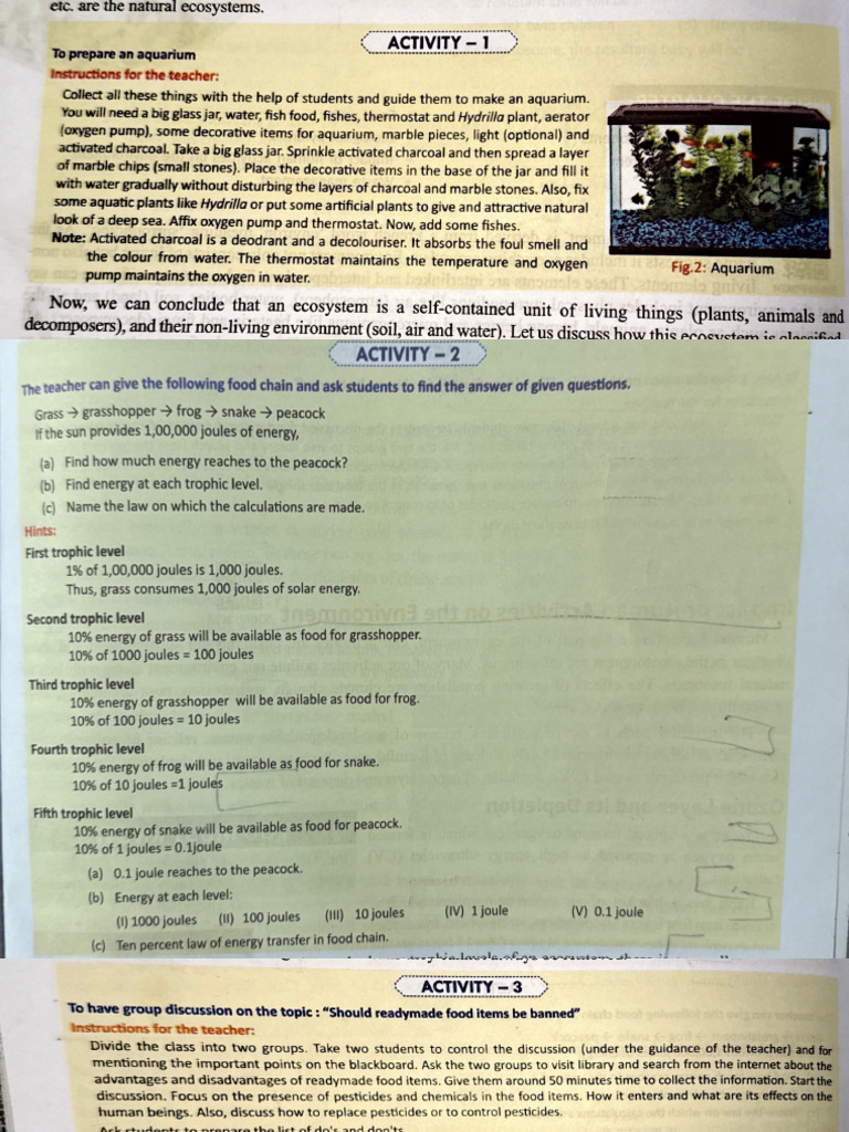 Our Environment (Activity) | PDF