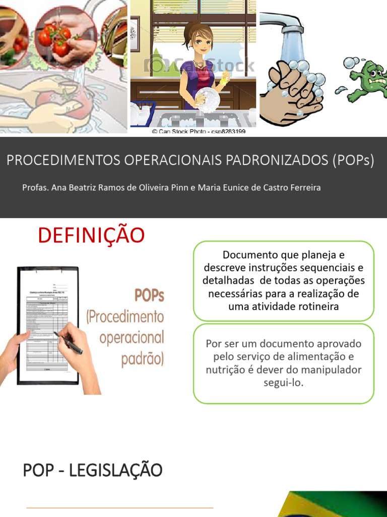 Procedimentos Operacionais Padronizados (Pops) Aula - 2024 | PDF