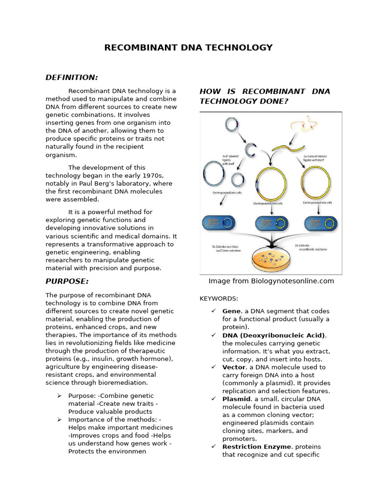 Recombinant Dna Technology | PDF | Molecular Cloning | Plasmid