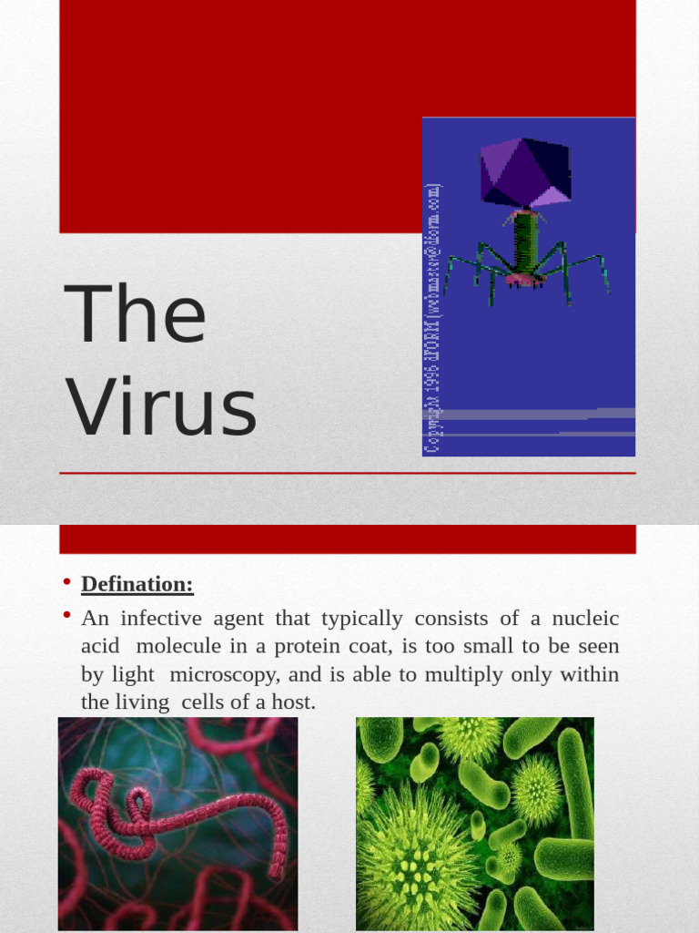 Viruses Structure Classification and Characteristics | PDF | Virus | Dna