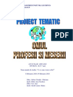 proiect_meserii_2010