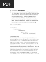 Download Cucumber Tree by Jan Clarise Geronimo SN96337250 doc pdf