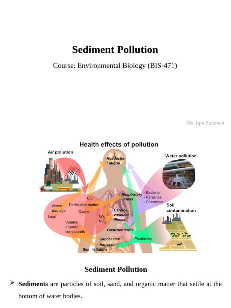 Understanding Sediment Pollution Effects | PDF | Water Pollution | Soil