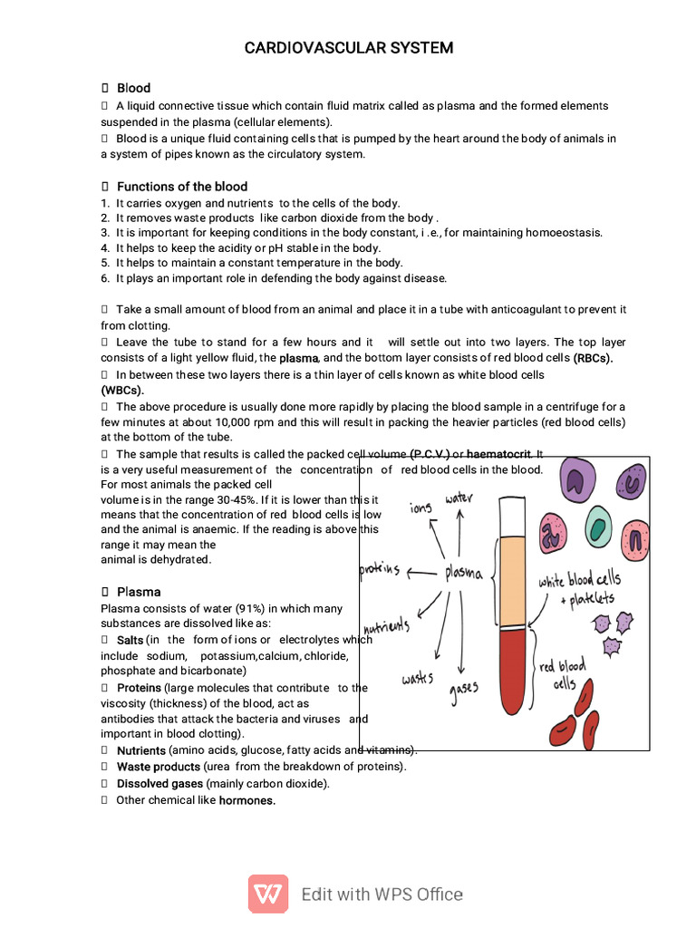 Overview of the Cardiovascular System | PDF | Heart Valve | Ventricle ...