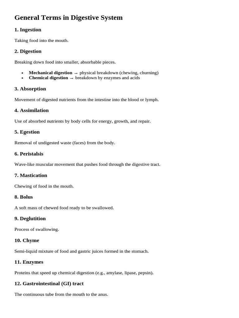 Key Terms in Digestive System | PDF | Digestion | Gastrointestinal Tract