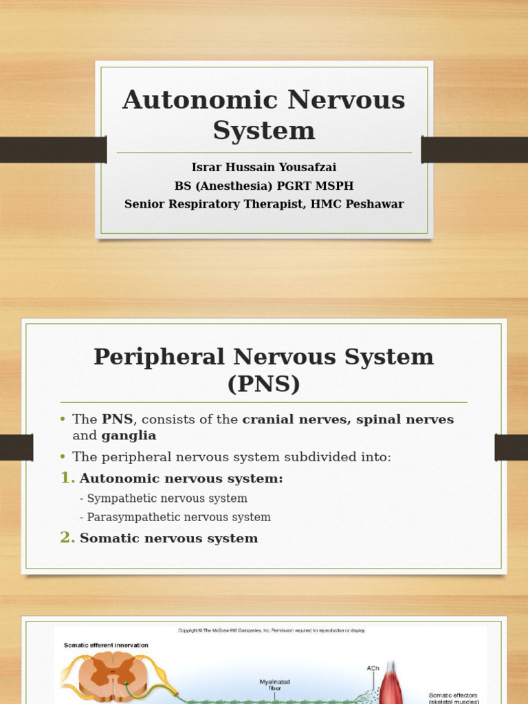 Overview of the Autonomic Nervous System | PDF | Autonomic Nervous ...