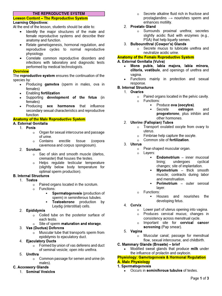 Overview of the Reproductive System | PDF | Menstrual Cycle ...