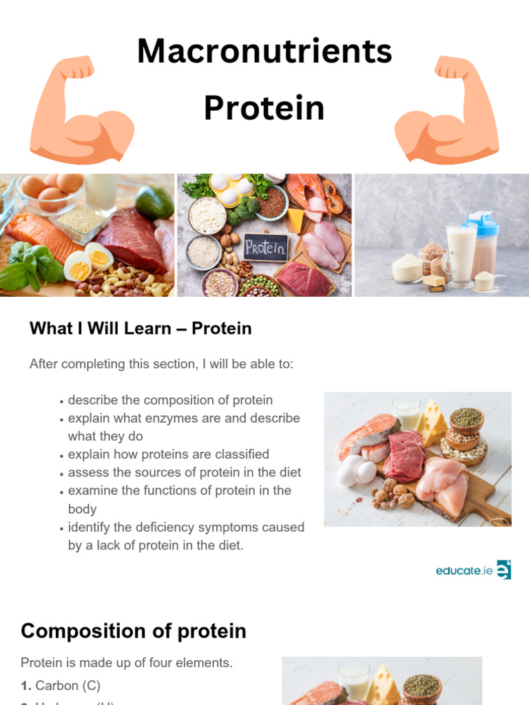 Understanding Protein: Types, Sources, and Functions | PDF | Proteins ...