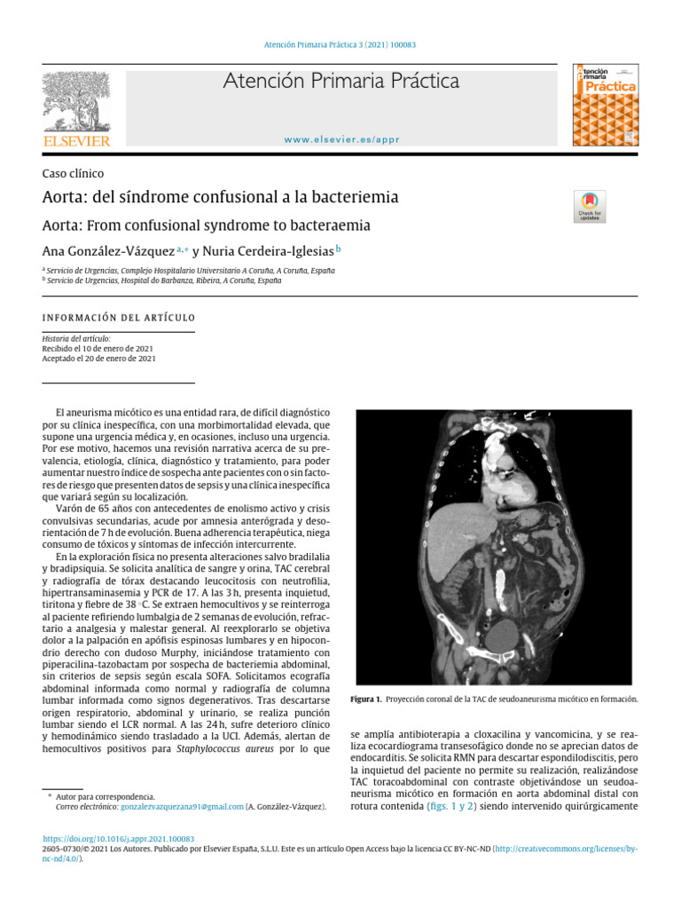 Aneurisma micótico: caso clínico y diagnóstico | PDF | Enfermedades y ...