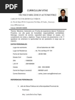 Modelo de Curriculum Vitae 2013