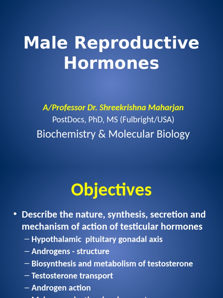Male Sex Hormones | PDF | Luteinizing Hormone | Testosterone