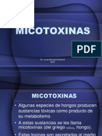 94519278-micotoxinas-1204855586172613-4