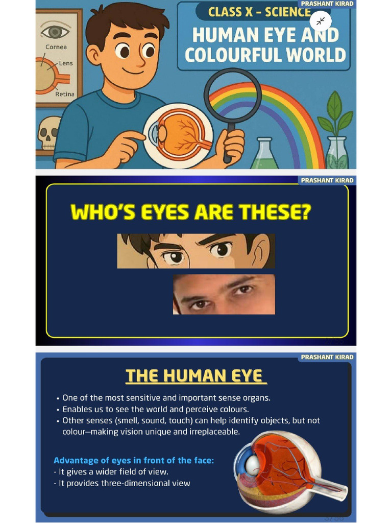 The Human Eye and Colourful World (Physics | PDF