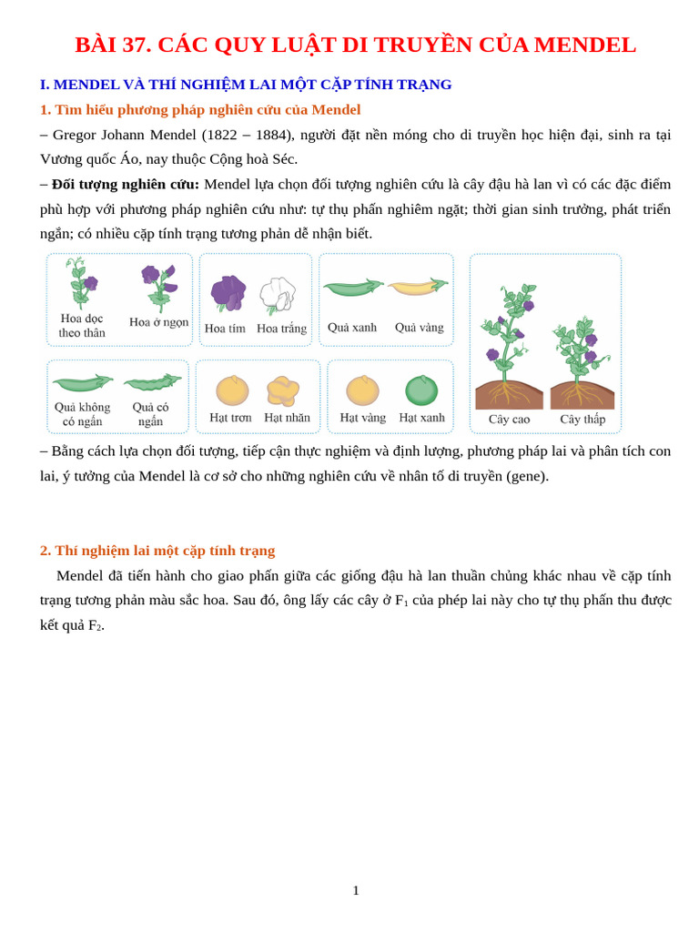 Bài 37. Các Quy Luật Di Truyền Của Mendel - HS | PDF