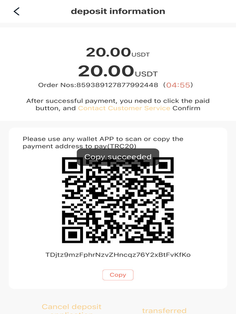 USDT Deposit Instructions and Details | PDF