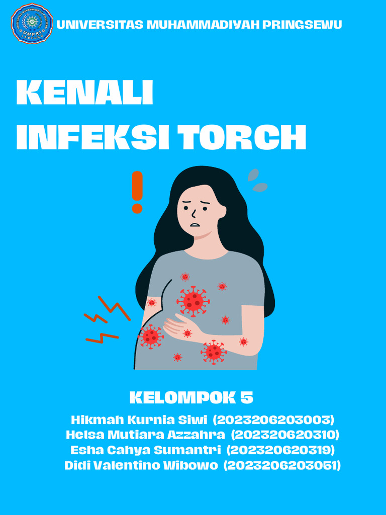 Waspadai Infeksi TORCH pada Ibu Hamil | PDF