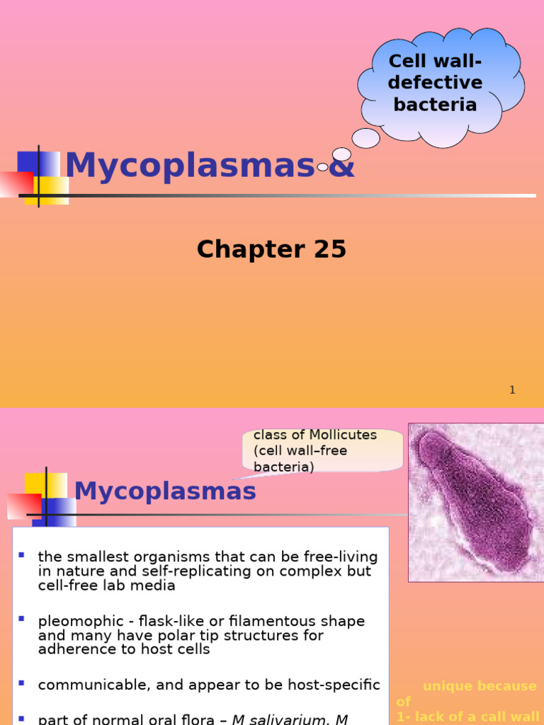 Ch25Mycoplasma2018JuneLika | PDF | Mycoplasma | Pneumonia