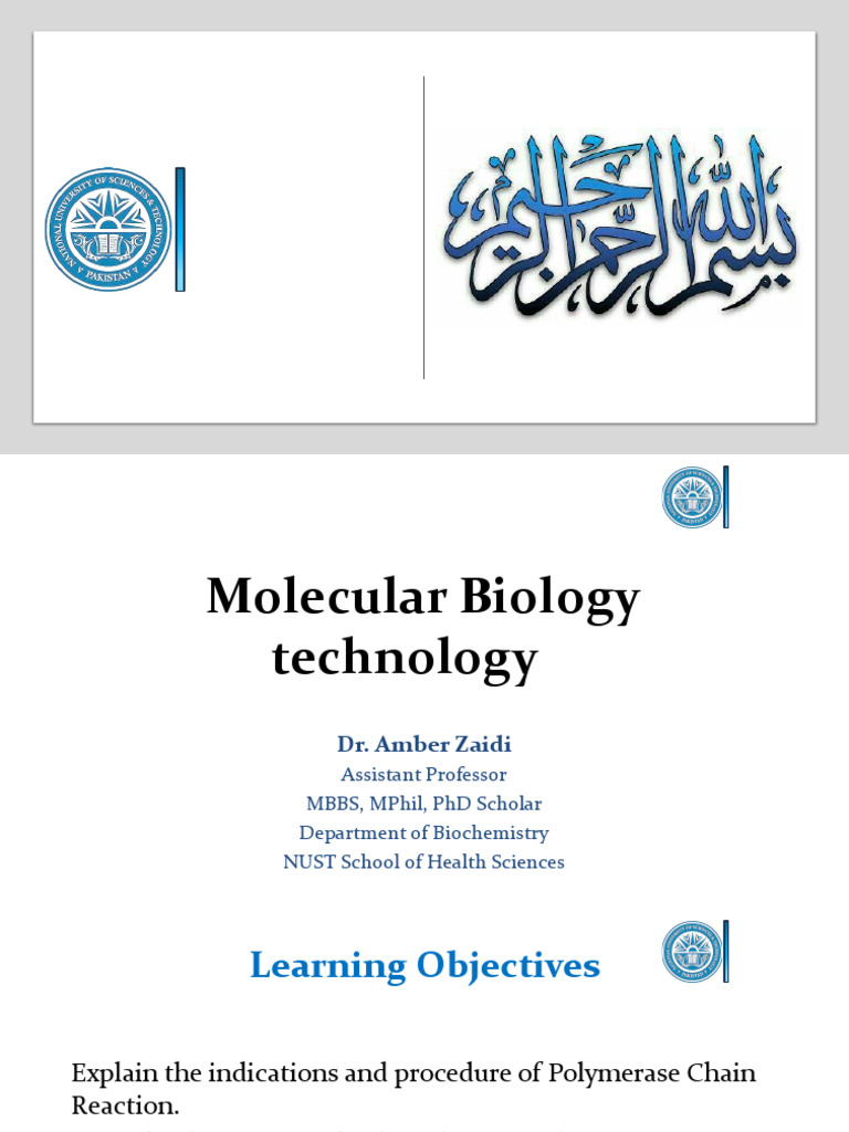 PCR and RFLP Techniques in Molecular Biology | PDF | Polymerase Chain ...