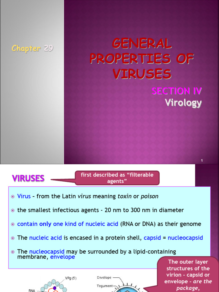 Overview of Virus Properties and Classification | PDF | Virus | Sense ...