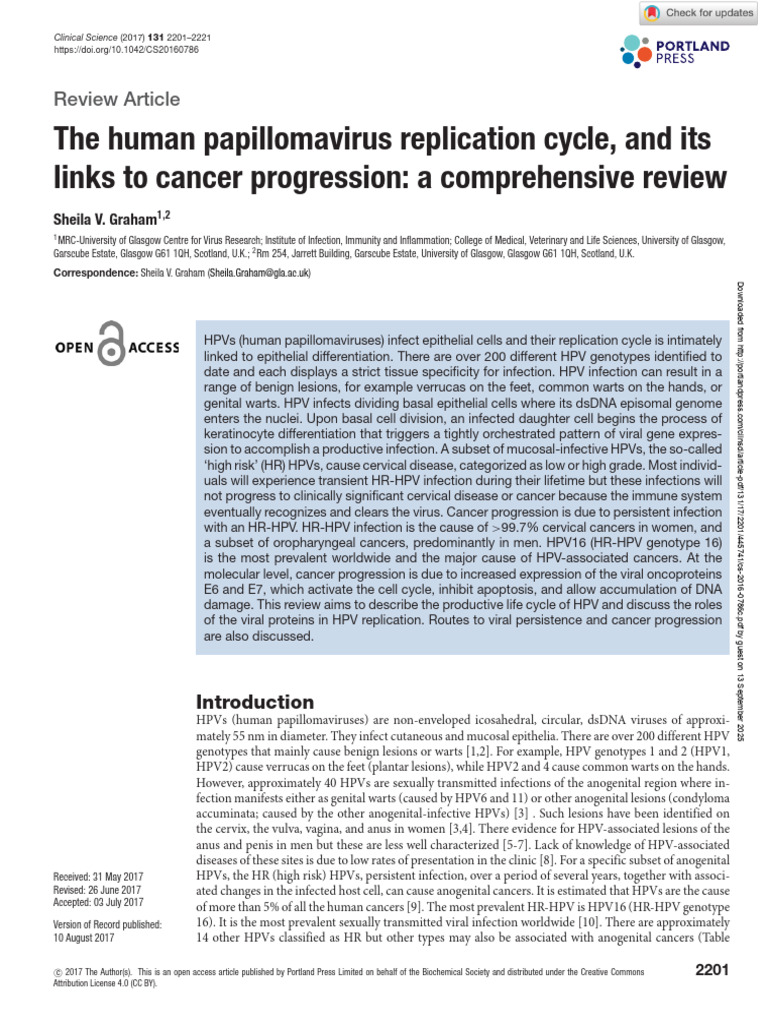 HPV Replication and Cancer Links Explained | PDF | Cervical Cancer | P53