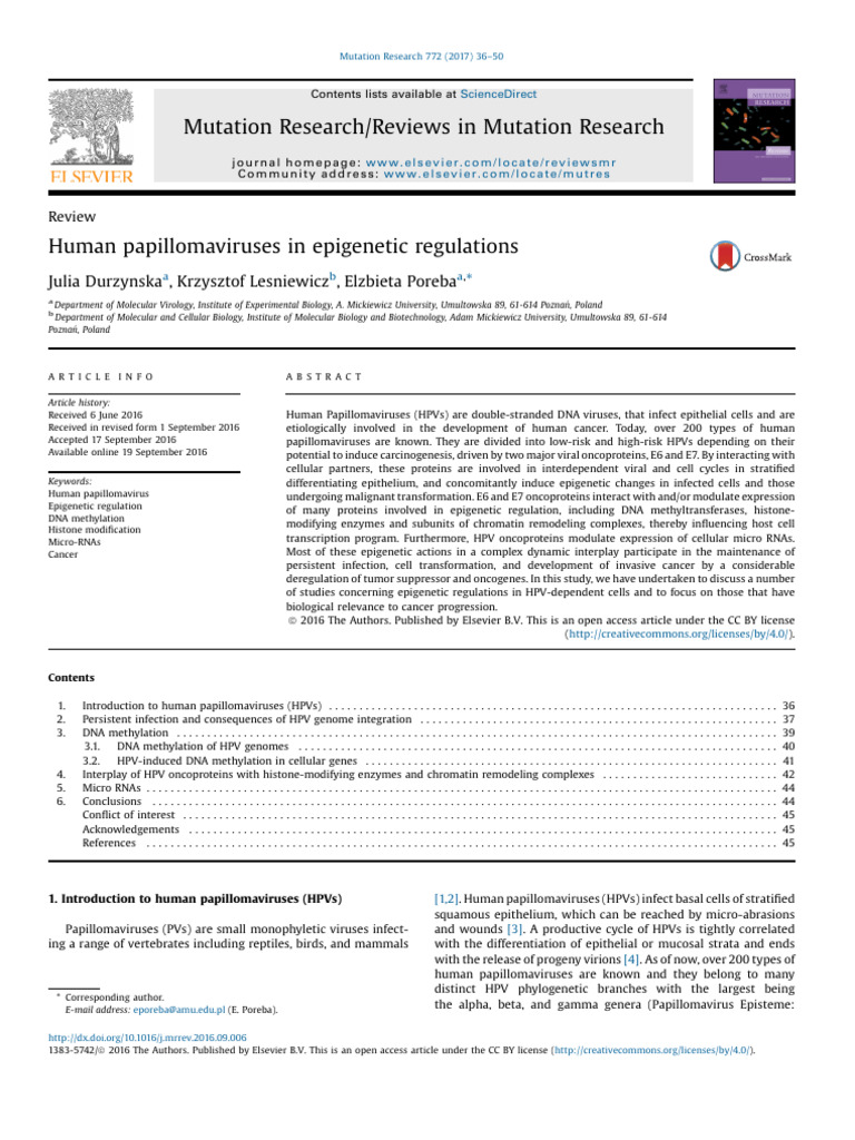 HPV and Epigenetic Regulation in Cancer | PDF | Dna Methylation ...
