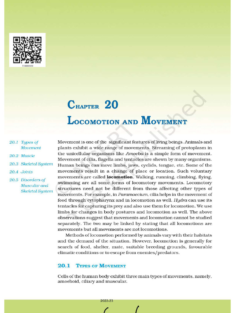 Img 0142 | PDF