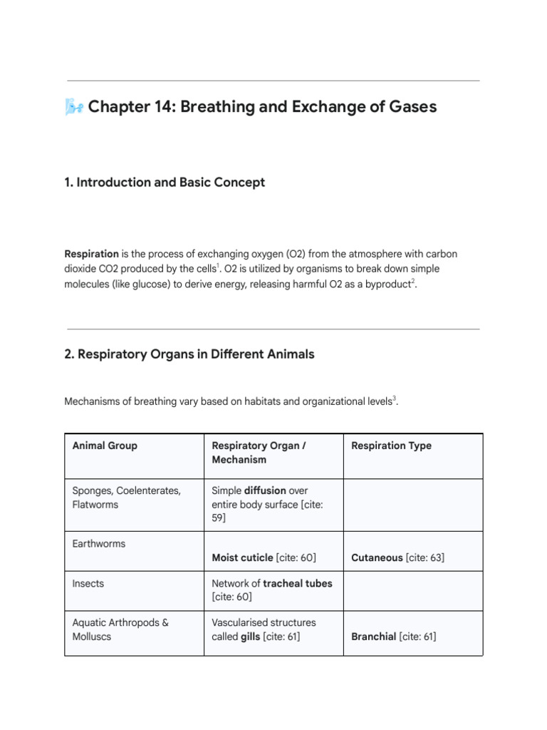 Human Respiratory System Overview | PDF | Exhalation | Lung