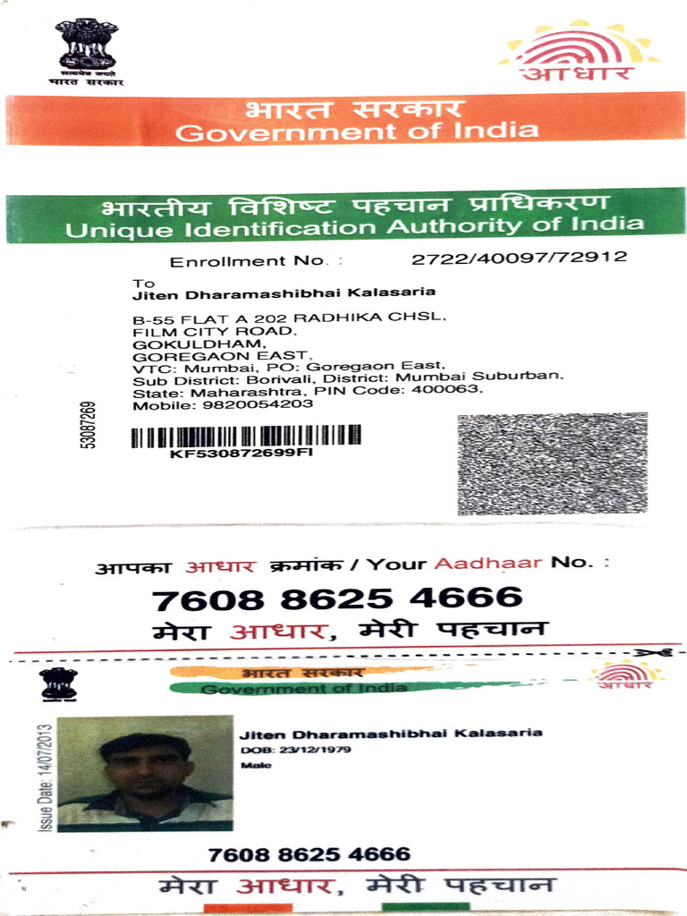 Aadhaar Identity Verification Document | PDF