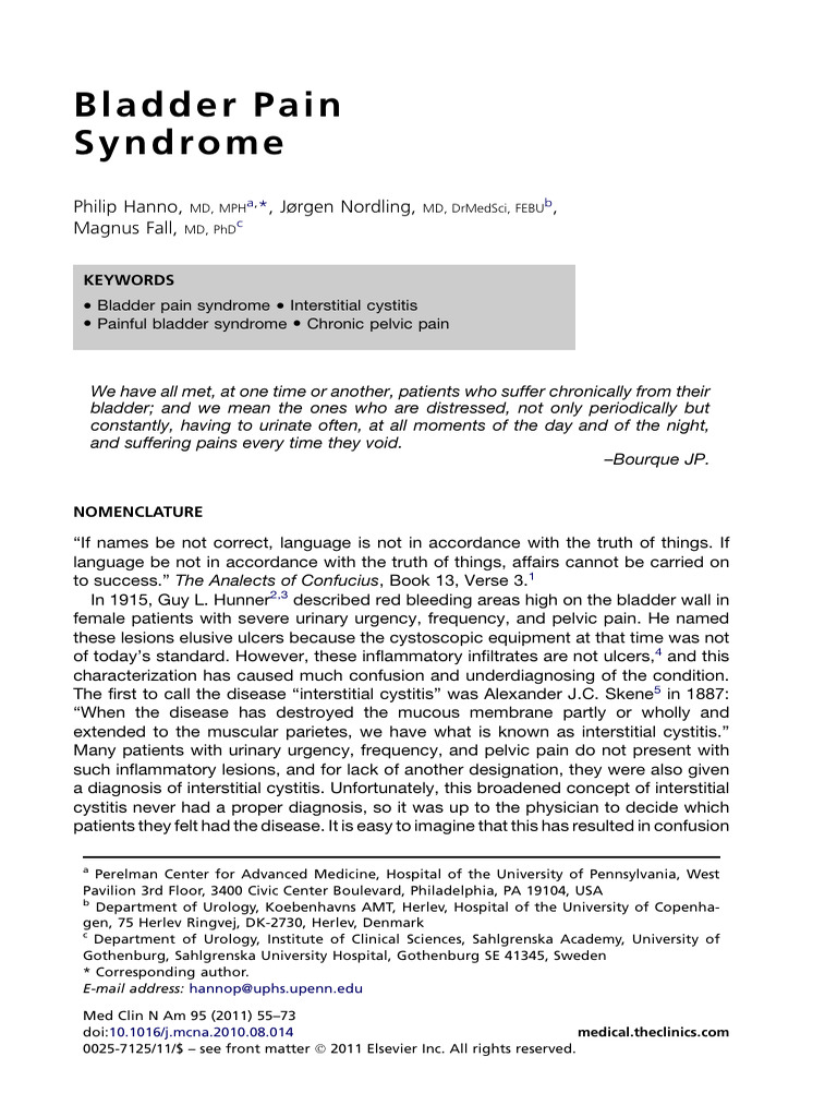 Understanding Bladder Pain Syndrome | PDF | Urinary Tract Infection ...