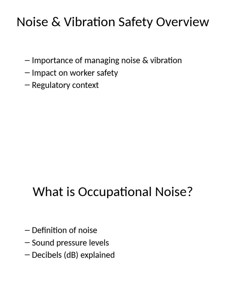 Noise and Vibration Safety Guidelines | PDF
