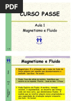 01 Magnetismo e Fluido