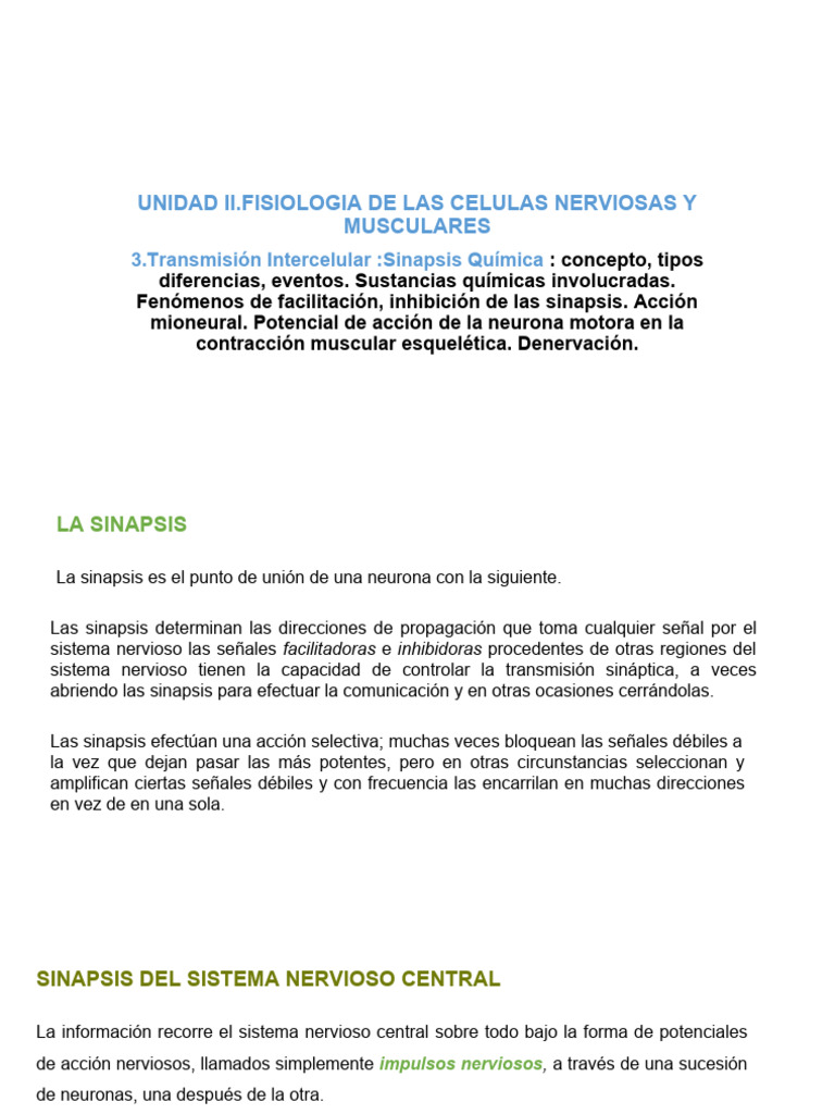 Sinapsis: Transmisión Nerviosa y Muscular | PDF | Sinapsis | Neurona
