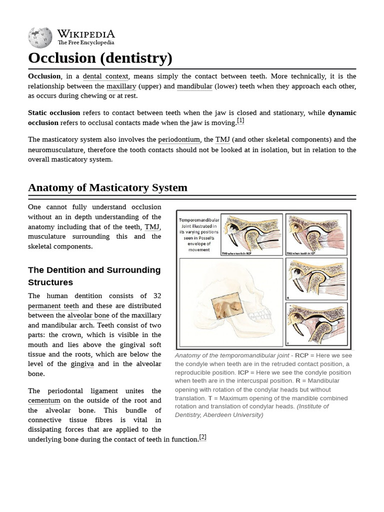 Anatomy and Function of Occlusion | PDF | Human Head And Neck | Dental ...