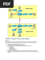 CCNA 1 Packet Tracer Case Study