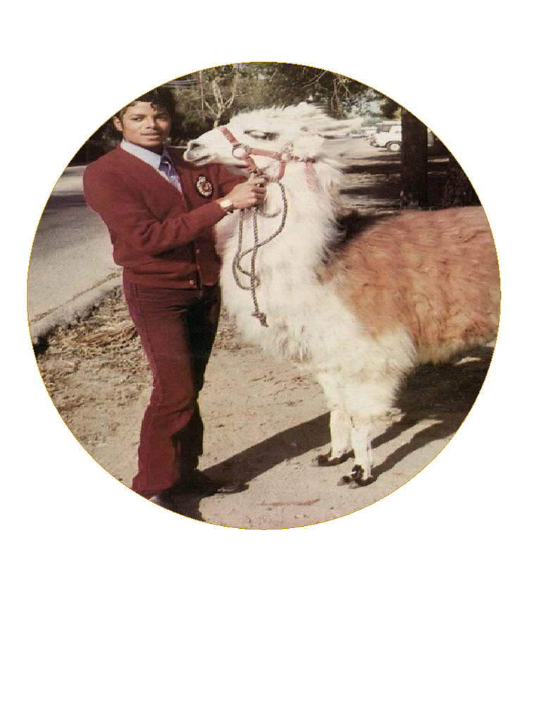 Llama | PDF