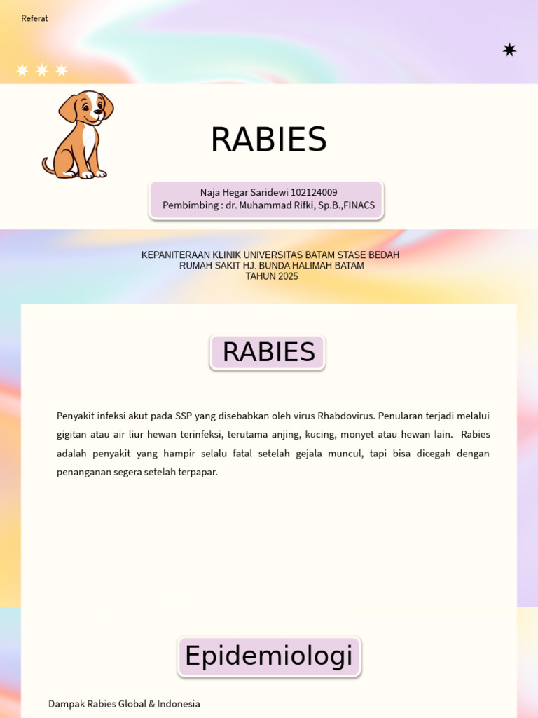 Rabies | PDF