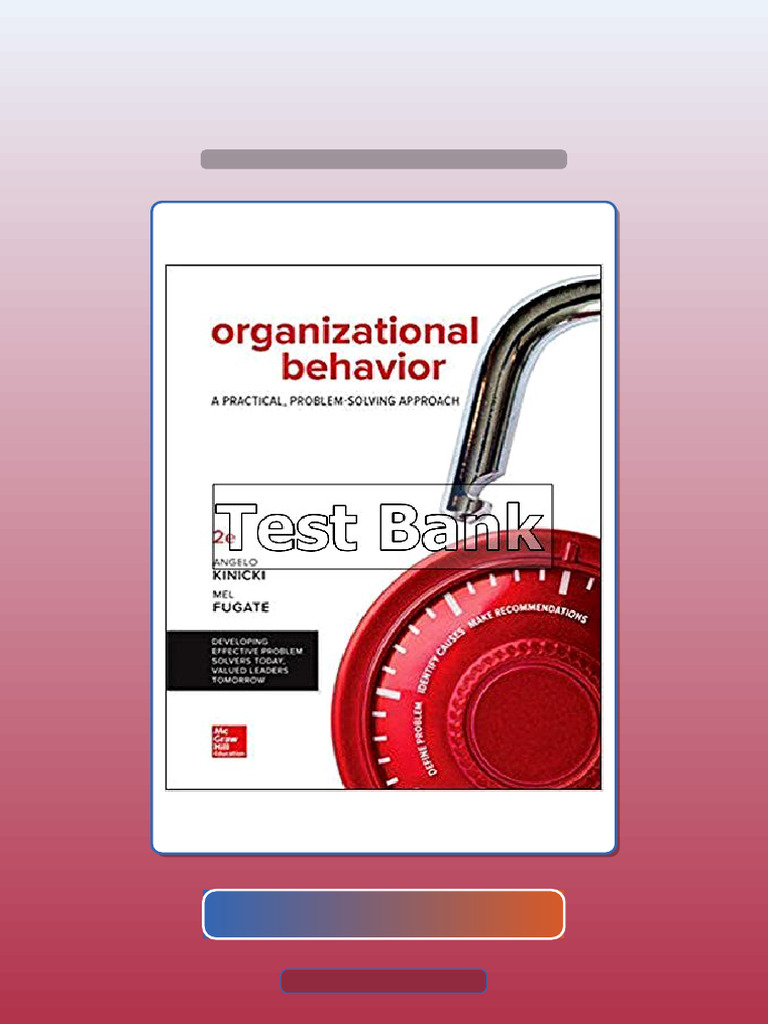 Organizational Behavior A Practical Problem Solving Approach 2nd ...