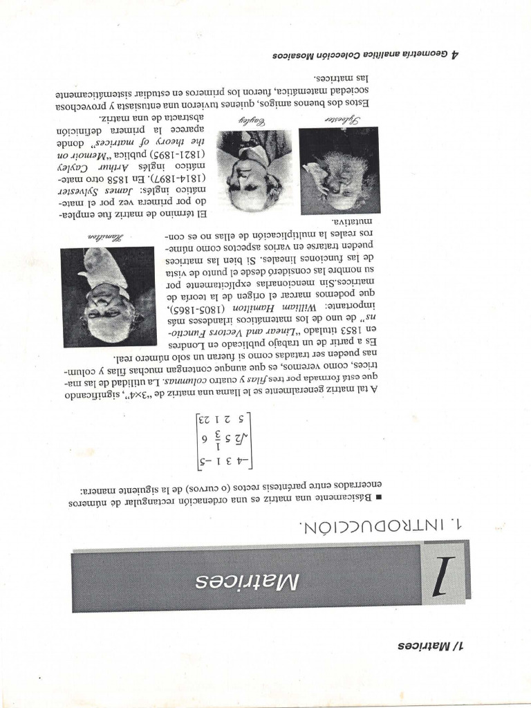 Matrices (Colección Mosaicos) | PDF