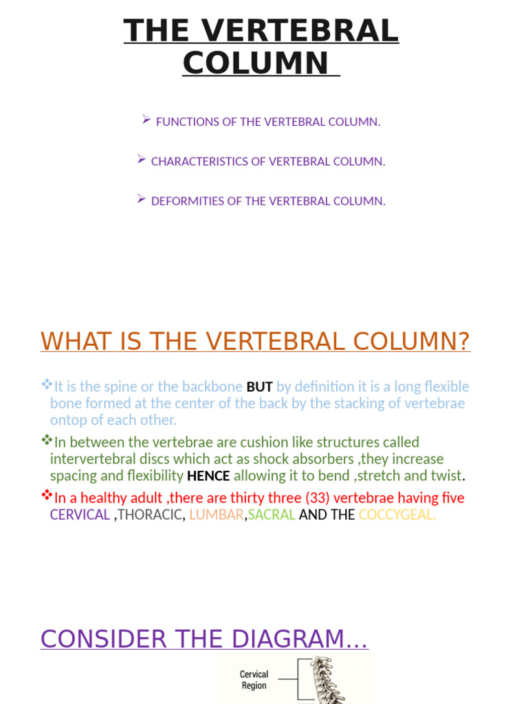 The Vertebral Column | PDF | Vertebra | Scoliosis