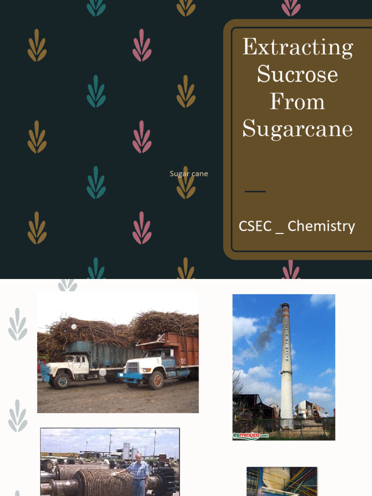 6. Extraction of Sucrose From Sugarcane | PDF