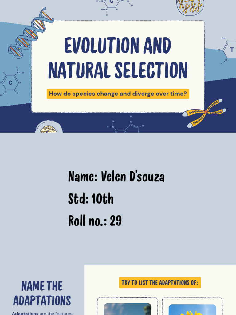 Evolution and Natural Selection Education Presentation in 0 Hand Drawn ...