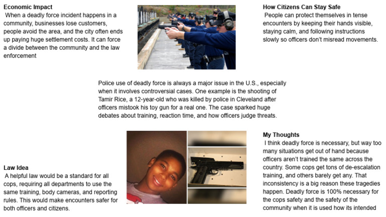 Police Deadly Force: Training & Safety Solutions | PDF | Deadly Force ...