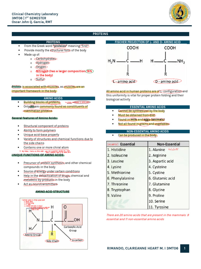 Understanding Proteins and Amino Acids | PDF | Protein Structure ...