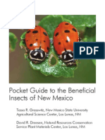 Benefical Insects of New Mexico